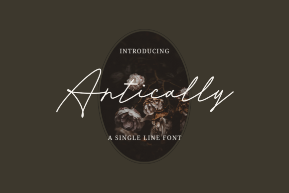 Antically: A Handwritten Font That Elevates Web Design