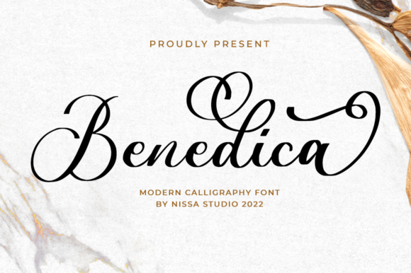 Benedica: A Refined Script for Real Design Work