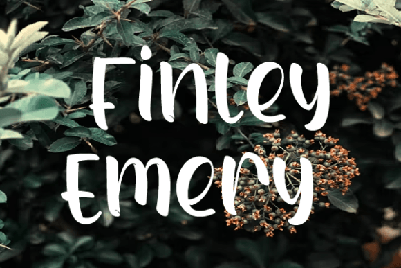 Finley Emery: A Warm, Confident Script Font for Real Branding