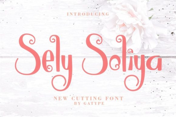 Sely Soliya: A Modern Script Font That Earns Its Place in Real Campaigns