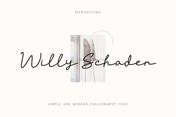 Willy Schaden: A Strategic Script Font for Scroll-Stopping Brand Content